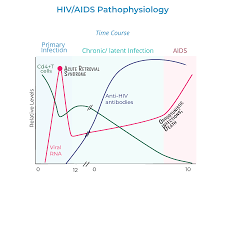 Image result for HIV Pathophysiology