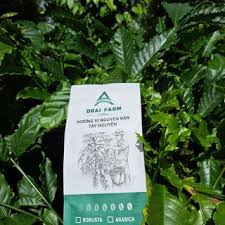 Rang gia công cà phê giá sỉ, giá bán buôn - Thị Trường Sỉ