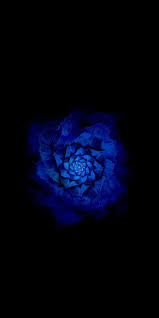 We have many more template about blue ultra hd black wallpaper including template, printable, photos, wallpapers, and more. Bluish Flower Black Amoled Wallpaper 4k Ultra Hd Wallpaper Ultra Hd 4k Wallpaper 4k Wallpaper Iphone
