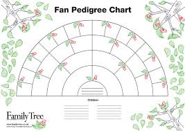 Free Family Tree Charts Interview Sheets Family Tree