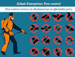 Thus, the company has an expert team to deal with a wide array of animal removal services, making sure all of their customers are well cared for. Pest Control Services In Bhubaneswar Termite Pest Control Services
