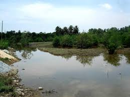 Low rates guaranteed on all pengkalan chepa hotels at agoda. Pantai Sabak Kota Bharu 2021 All You Need To Know Before You Go With Photos Tripadvisor