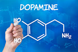 Image result for Dopamine