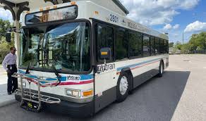 Image result for Bussea