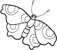 The spruce / wenjia tang take a break and have some fun with this collection of free, printable co. Butterfly For Free Coloring Page Free Printable Coloring Pages For Kids