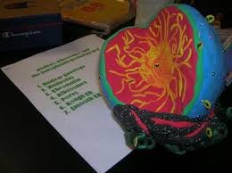 Carolyn Thomas Photos On Myspace Biology Interactive Notebook Secondary Classroom Biology Teacher