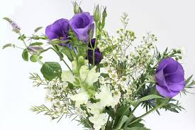 Choose from 20+ white flower bouquet graphic resources and download in the form of png, eps, ai or psd. Photo Bouquet Flower Eustoma Hellebore Antirrhinum White Background