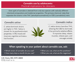There are a couple of layers of tax in place on the sale of marijuana. Cannabis Use By Adolescents Practical Implications For Clinicians British Columbia Medical Journal