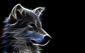 neon wolf wallpaper 54 images
