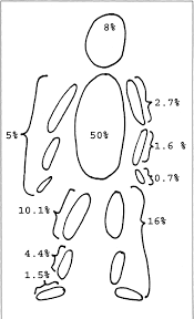 current perspective on assessment of human body proportions