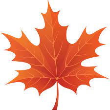 Brown Maple Leaf Leaf Art Leaf Clipart Maple Leaf Tattoos