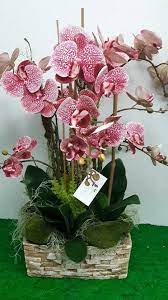 Beli bunga plastik murah, terlengkap dan terpercaya | pembelian minimal 2 juta, bisa cicilan 0% gratis ongkir. Kedai Bunga Malaysia Florist Flower Shop Home Facebook
