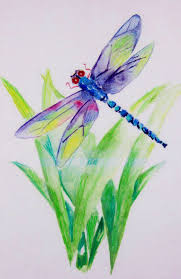 Elizabeth Grbic Butterfly Art Painting Watercolor Dragonfly Dragonfly Painting