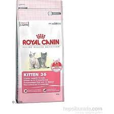 royal canin fhn kitten yavru kedi mamasi 400 gr fiyati