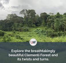 Check spelling or type a new query. The Urbanwire On Twitter Spellbound By The Media Coverage On Clementi Forest Discover Our Editor S Thoughts After Visiting The Vast Green Space Spoiler Alert Although Brilliant Sights Were Abundant She Had