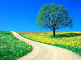 Beautiful soup is licensed under the mit license, so you can also download the tarball, drop the bs4/ directory into almost any python application (or into your library path) and start using it immediately. 33 Beautiful Pictures Of Nature Images Download Hd Photos Part Timely Com