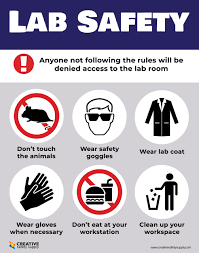 This science safety poster pack contains 18 illustrated posters that ensure children have fun and stay safe in science lessons. Lab Safety Poster Creative Safety Supply
