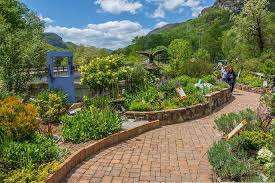 Several plants were in full flower, and some had more buds yet to unfurl. Lake Lure Flowering Bridge Hd Carolina