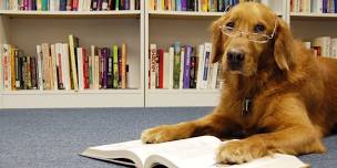 Tales for Tails (Lowell)