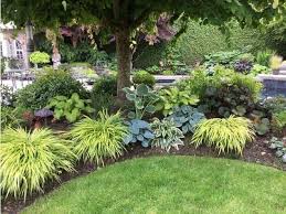 Pin By Roberta Lexvold On Yard Shade Garden Design Shade Garden Plants Shade Landscaping