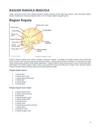 Tulang tersebut keras yang berfungsi untuk menjaga manusia diciptakan dengan berbagai macam sifat begitu juga dengan tulangnya ada beberapa orang kurang beruntung yang memiliki tulang. Bagian Rangka Manusia