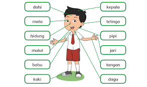 Check spelling or type a new query. Kunci Jawaban Tema 1 Kelas 1 Sd Mi Halaman 63 66 67 69 Dan 70 Subtema 2 Pembelajaran 5 Dan 6 Kabar Lumajang