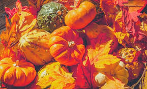 We did not find results for: 35 Fall Coloring Pages For A Fun Autumn Indoor Activity Happier Human