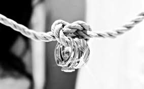 Tie The Knot Wedding Ring Photo Tie The Knot Wedding Wedding Rings Photos Tie The Knots