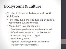 General Family Systems Theory Structural Family Therapy Systems Theory Definitions Family Systems