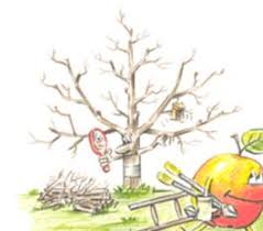 Das was in den letzten jahren gewachsen ist, muss stück für stück vom baum wieder runtergenommen werden. Warum Soll Man Obstbaume Uberhaupt Schneiden