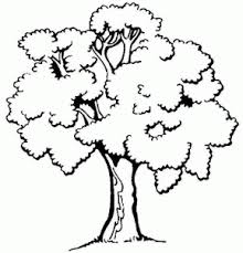 Here's a pine tree coloring page for your little nature lover to color. Trees Free Printable Coloring Pages For Kids