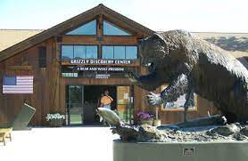 Follow all posted instructions while visiting the grizzly & wolf discovery center. Grizzly Wolf Discovery Center Yellowstone Trip Visit Yellowstone Wyoming Vacation