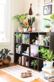 Riesenauswahl an produkten für zuhause. Small Space Indoor Plants Living Room Ideas Novocom Top