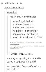 19 Times Tumblr Got Real With France Harry Potter Obsession Voldemort Harry Potter Avada kedavra kills things, that much is known, but what kind of damage does it actually do? harry potter obsession voldemort