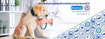 Încep înscrierile la universitatea de științe agronomice și medicină veterinară din bucurești. Medicina Veterinara Timisoara Home Facebook