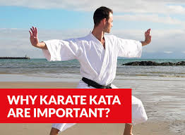 See more ideas about karate kata, shotokan karate, shotokan. What Is The Purpose Of Kata In Karate