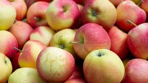 Is There Anything Worse Than Biting Into A Mealy Apple Answer No To Get Your Apples To Stay Crisp And Delicious As Long Apple Macintosh Apple Cooking Light