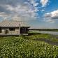 Crossing Paths: Westwego, Louisiana
