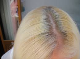 Ion Color Brilliance Hi Lift Ash Blonde A Beauty And The