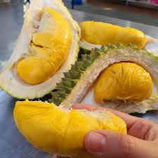 Dermaga pagi, saya ingin bertanya, mengapa saya selalu merasa lapar walaupun selepas makan, ia berlaku apabila saya memecahkan puasa dengan orang yang masam dan pedas. Rasa Pening Selepas Makan Durian Ikuti Perkongsian Doktor Ini Untuk Ketahui Punca Cara Atasinya Buzzkini