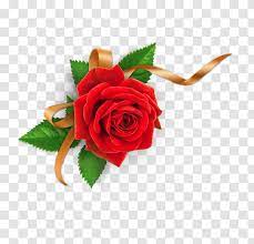 1131x707 name of prophet muhammad hd wallpapers best pakistani fun Garden Roses Names Of God In Islam Flower Allah Name Transparent Png