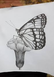 Coloring Pictures Of Flowers And Butterflies Beautiful Arts Drawings Butterfl Beautiful Pencil Drawings Beautiful Butterfly Pictures Pencil Drawings Of Flowers