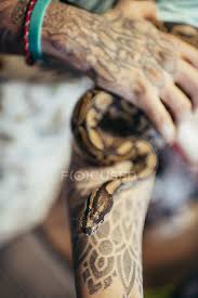 It is another great deception as people will keep wondering how a snake can. Big Scary Snake Clasping On Tattooed Wrist Aggressive Dangerous Stock Photo 167529020