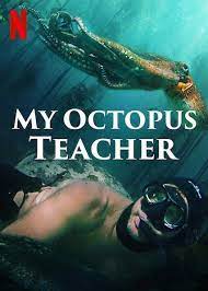 Documental My Octopus Teacher Lo Que El Pulpo Me Enseno Confined Rock
