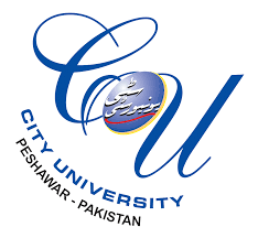 City University of Science and Information Technology Logo