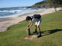 Coffs harbour airpot is 5 km from the venue, while coffs harbour muttonbird island is 1.8 km away. Premiere Chute Comme Une Merde Bild Von Coffs Harbour New South Wales Tripadvisor