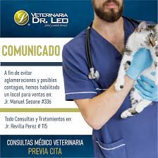 Veterinaria Leo