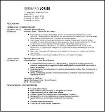 Exemple De Cv Employe Rayon Epicerie Exemples Modeles De Cv