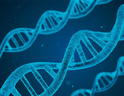 Aplicaciones de la ingenieria genetica. En Que Consiste La Manipulacion Genetica