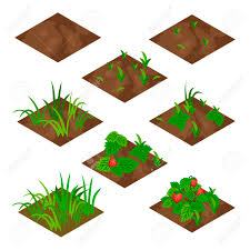 When the first half of the table is done, move onto. Garden Or Farm Isometric Tile Set Isolated Tiles With Grass And Strawberry Fruits Vector Illustration Can Be Used As A Farm Game Asset To Create Landscape Or Garden Scene Royalty Free
